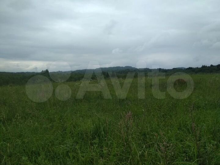 Участок 24 сот. (СНТ, ДНП)