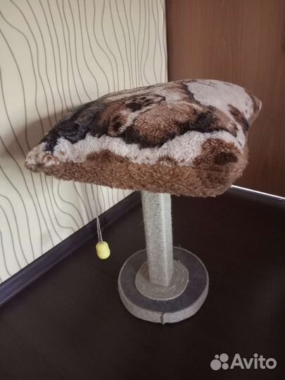 Когтеточка