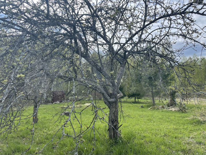 Дом 35 м² на участке 20 сот.