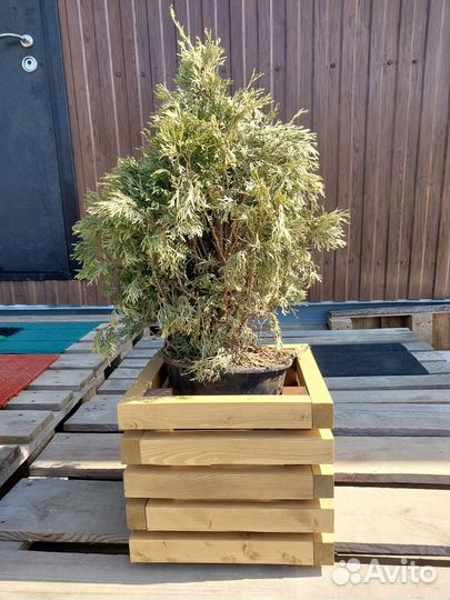 Кашпо для цветов