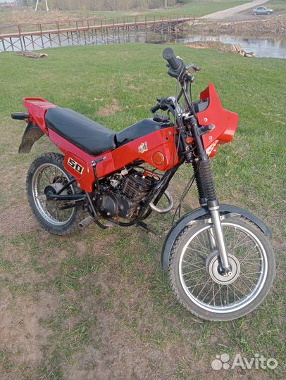 Зид пилот 50