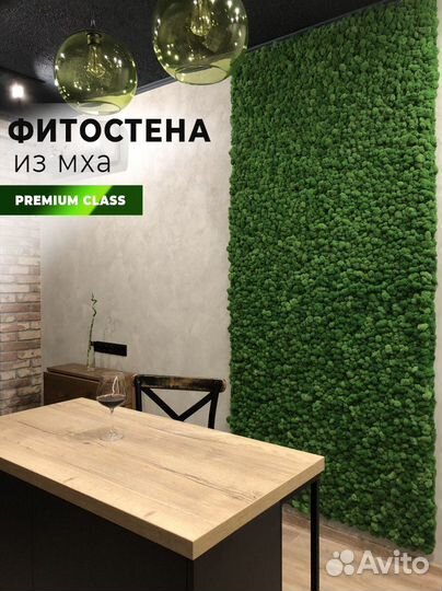 Фитостена из мха на кухню