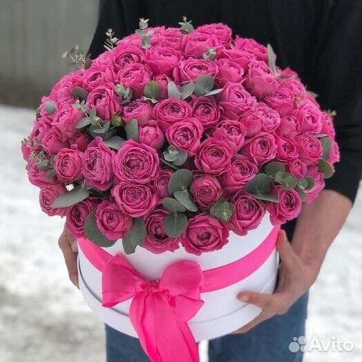 Розы 25, 51, 101