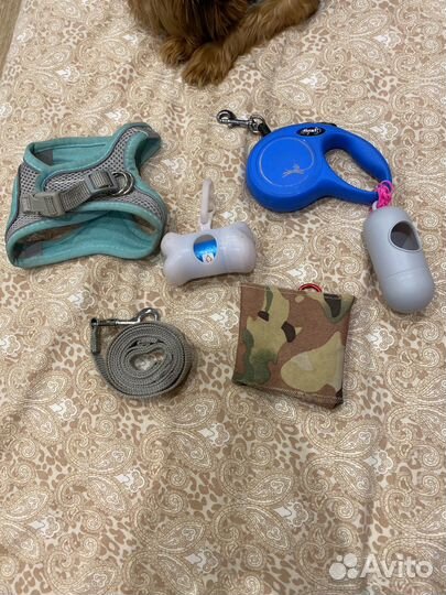 Рулетка для собак flexi