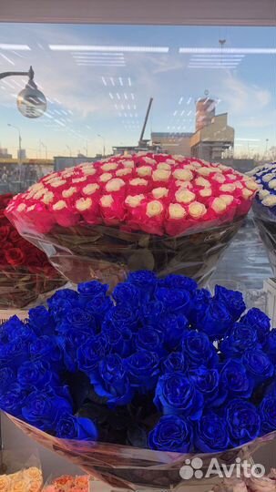 Синие Розы Радужные Букеты Цветы Доставка 24/7