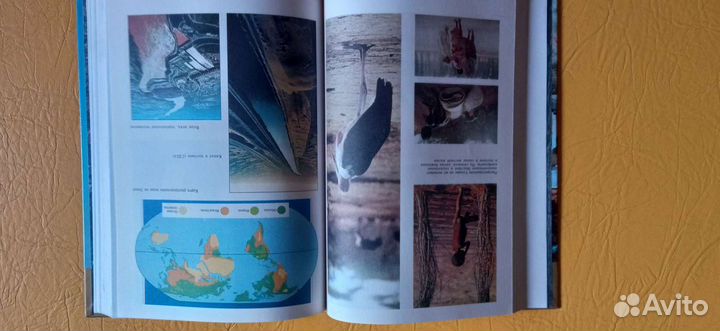 Популярная Школьная Энциклопедия экология