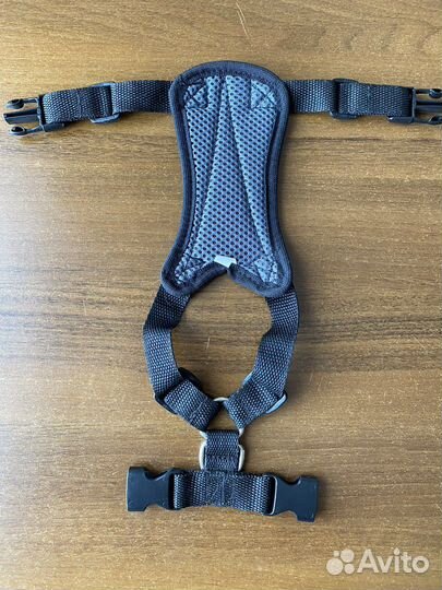 Шлейка для кошки