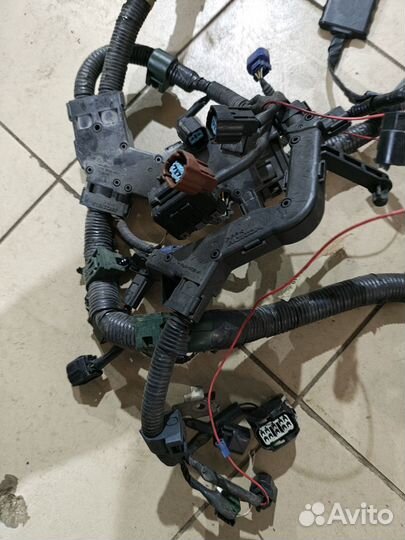 Проводка двигателя Acura Rdx TB1 K23A1 2008