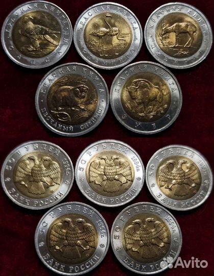 Красная книга 1994 год