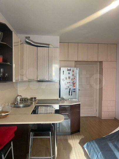 Квартира-студия, 22,4 м², 3/17 эт.