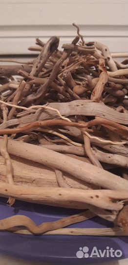 Дрифтвуд, коряжки с моря