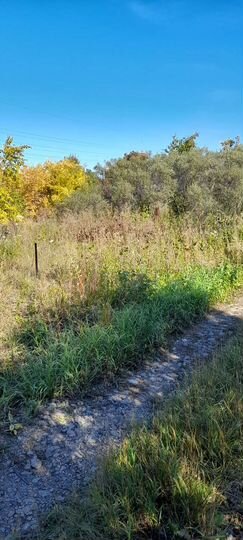 Участок 10 сот. (СНТ, ДНП)