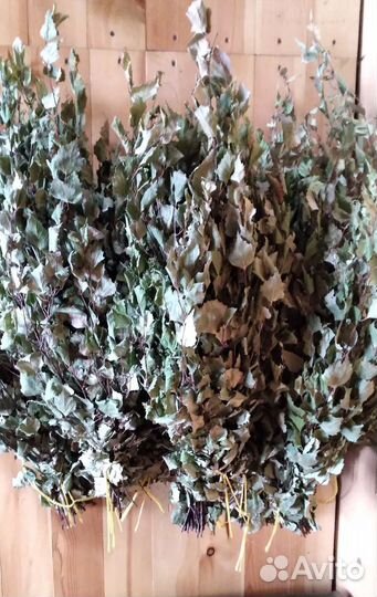 Березовые веники