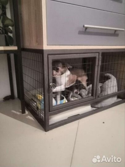 Клетка для собак