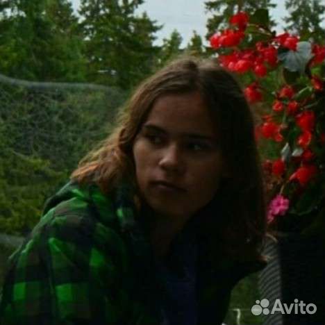 Репетитор по рисунку, живописи, скульптуре