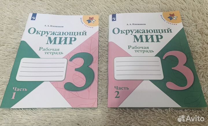 Окружающий мир 3 класс