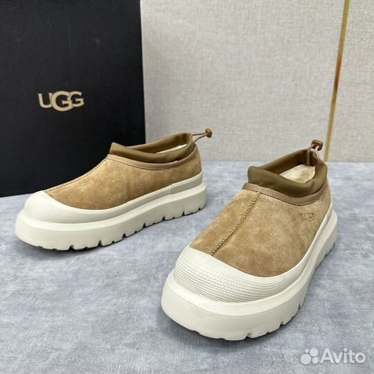 Угги Ugg