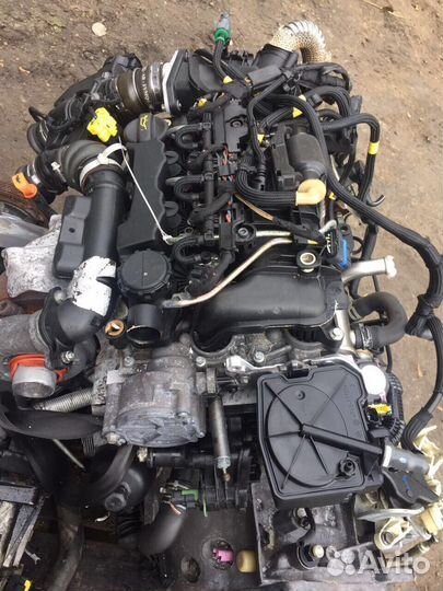 Двигатель Ford Focus Fiesta C-Max 1.6D G8DA