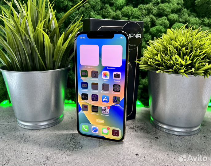 iPhone 12 Pro, 256 ГБ