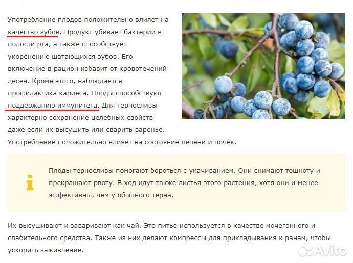 Шиповник Боярышник