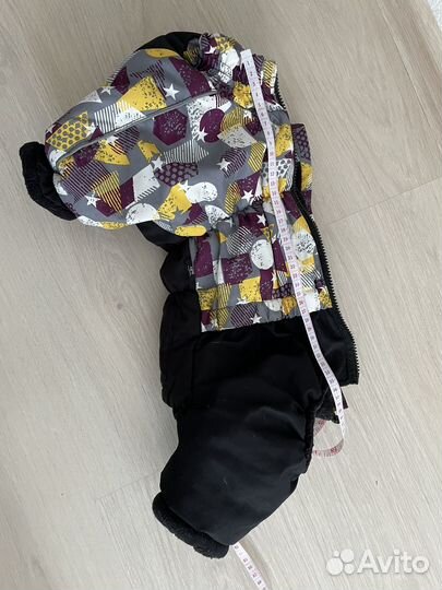 Одежда для собак