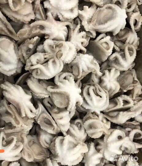 Продажа морепродуктов