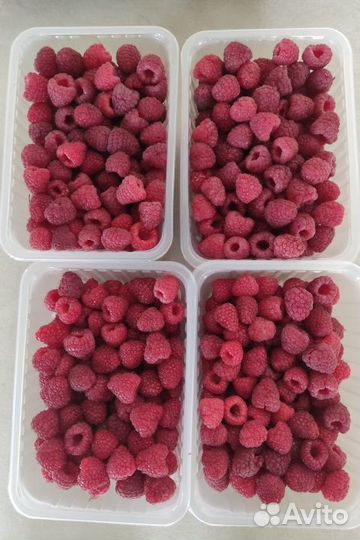 Малина ягоды свежие, Слива крупная сладкая