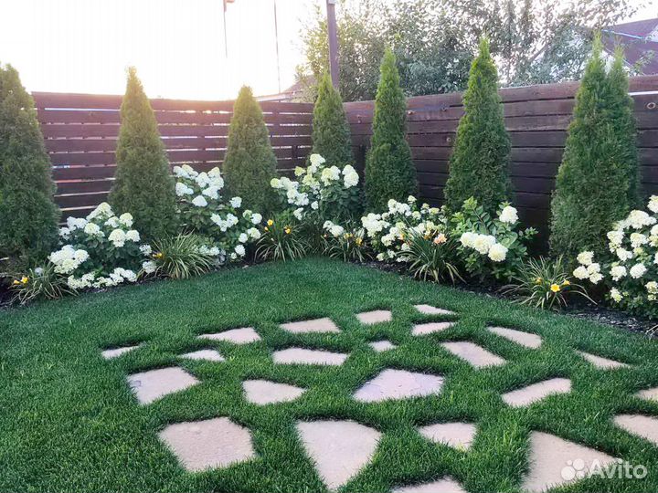 Рулонный газон с укладкой