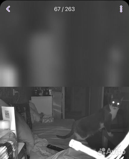 Камера видеонаблюдения