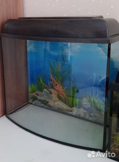 Аквариум 30 литров