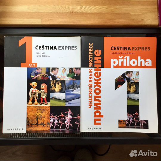 Чешский язык