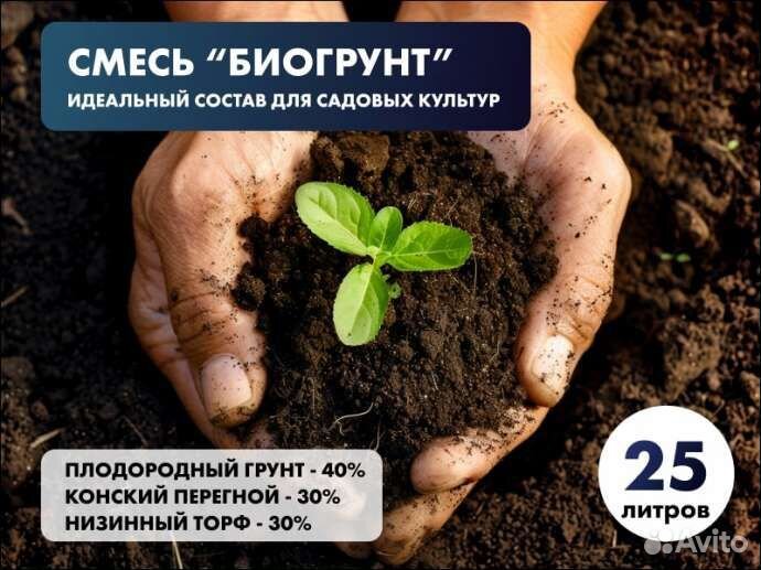 Торф 30%, плодородный грунт 40%, перегной 30% - см