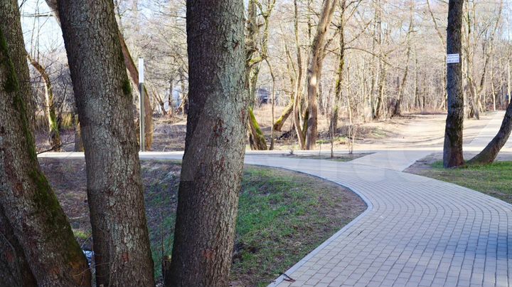 2-к. квартира, 56,5 м², 2/9 эт.