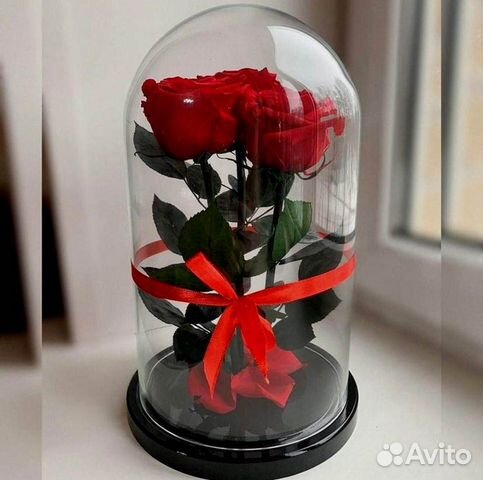 Живая роза в колбе