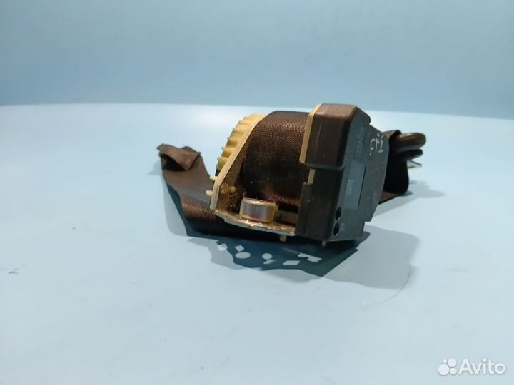 Ремень безопасности передний правый Ford Focus 2