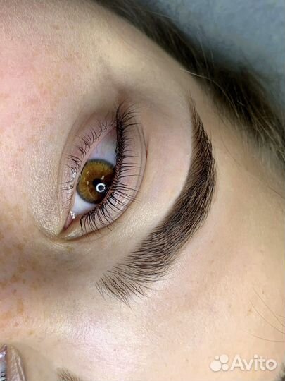 Модель брови