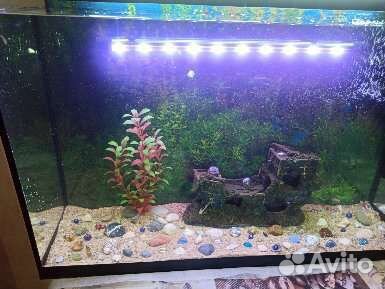 Лампа погружная в аквариум