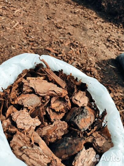 Кора сосны мульча