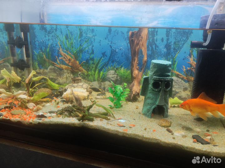 Аквариум