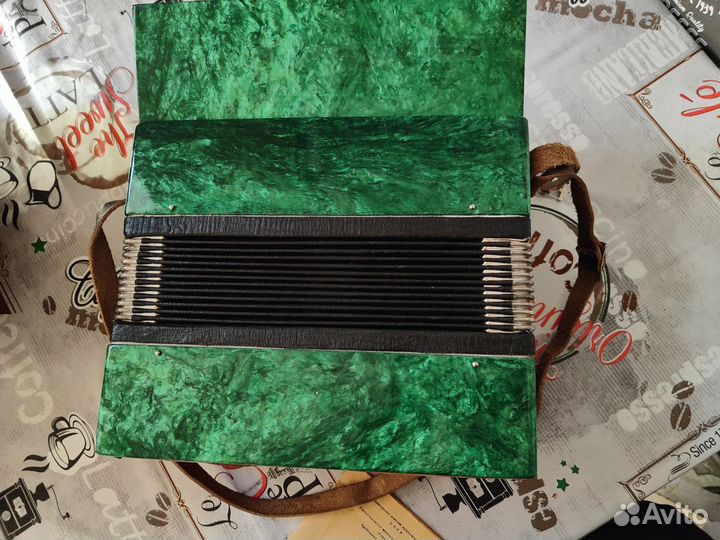 Аккордеон игрушка детская