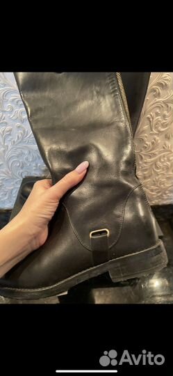 Сапоги pazolini оригинал