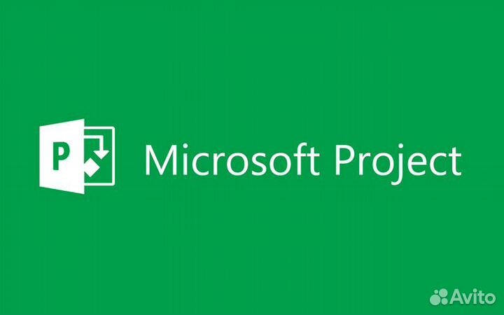 Ключ активации Project Pro 2019