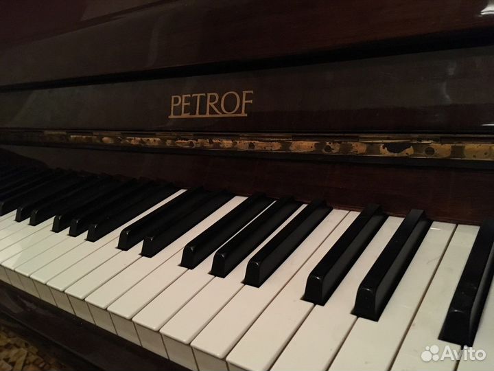 Пианино петроф petrof