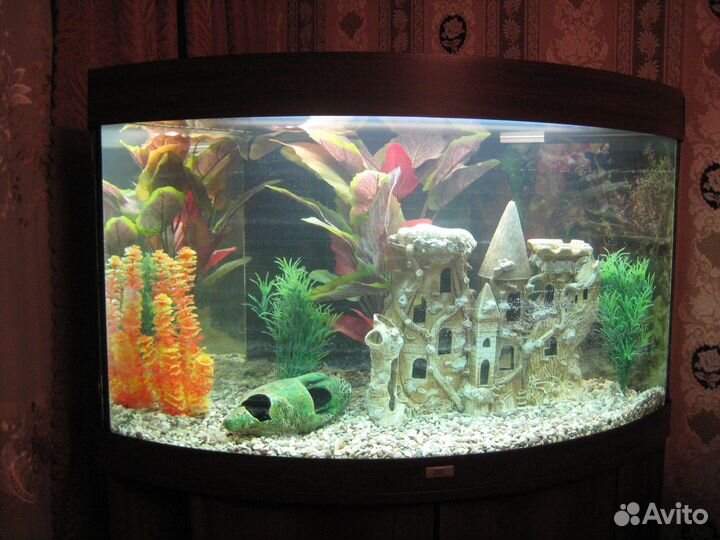 Аквариум с тумбой juwel