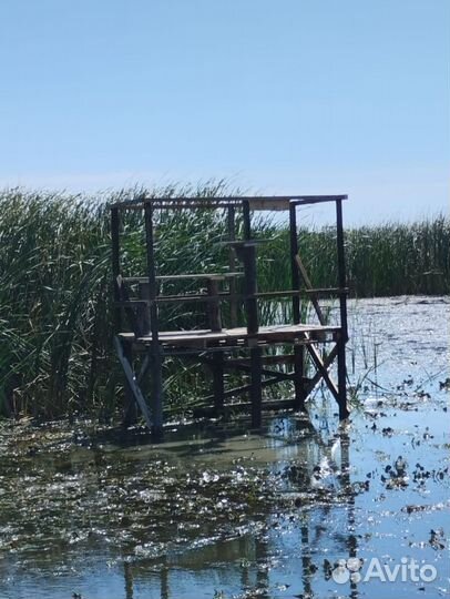 Организация охоты