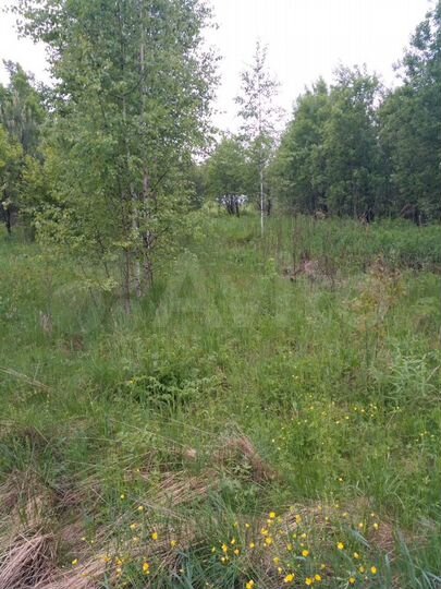 Участок 10 сот. (СНТ, ДНП)