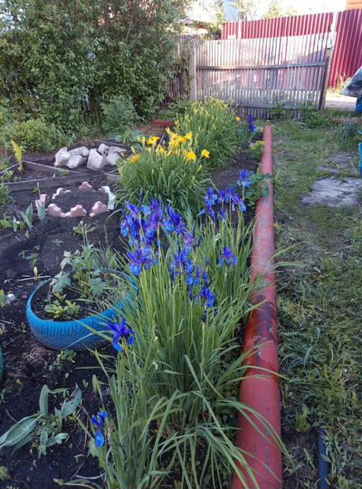 Дача 18 м² на участке 5 сот.