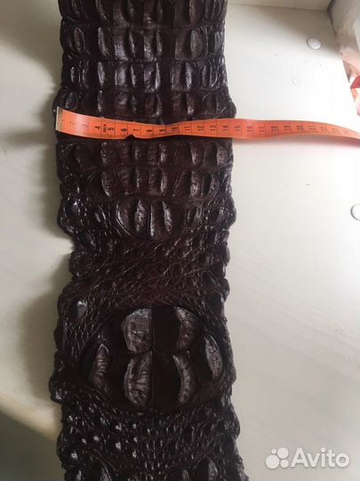 Пояс,ремень из кожи крокодила