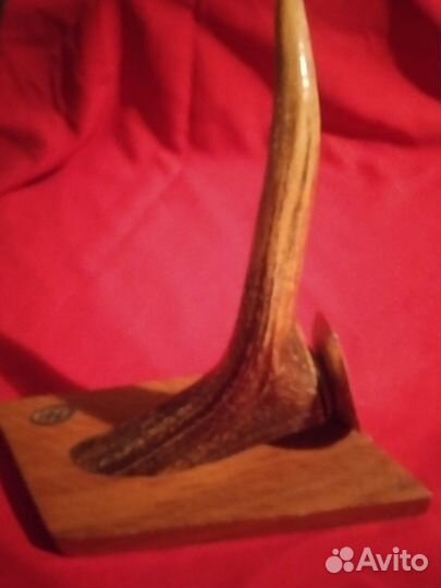 Рог оленя переделанный в подсвечник