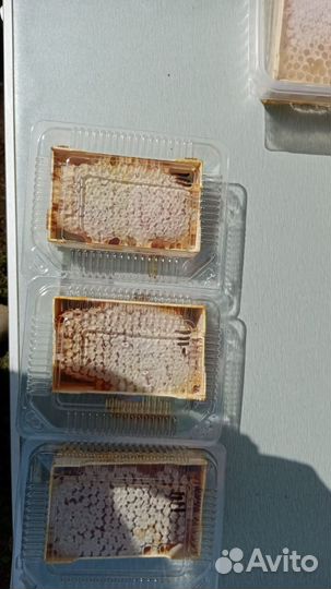 Мёд алтайский